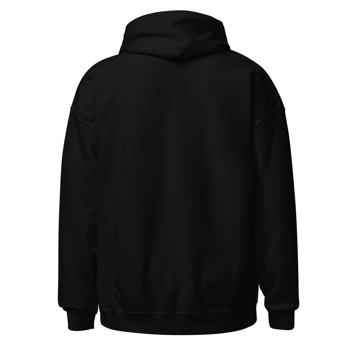 Sudadera Teddy Block unisex ZHOMAX con capucha en color negro, vista trasera